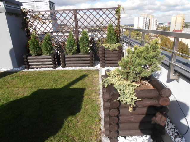 Ogród na dachu